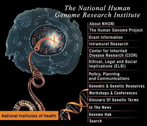 Human Genome Project ( bejelentés: Bill Clinton és Tony Blair 2000 Június 27.