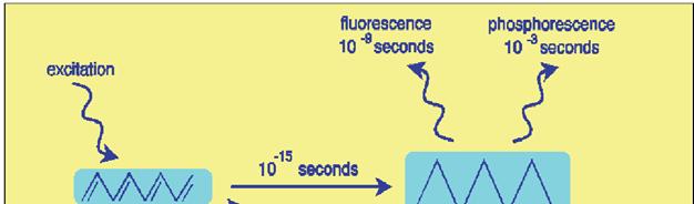 Az átmenetek sebessége (időskálája) A lumineszcencia tulajdonságai I. gerjesztés 10-15 s fluoreszcencia 10-9 s foszforeszcencia 10-6 - 10 s Intenzitás (norm.