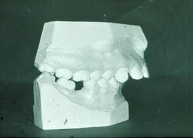 orthodontiai