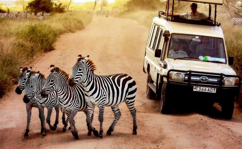 Tanzánia Üdüléssel Zanzibáron Pihenés SERENGETI LAKE MANYARA NGORONGORO KRÁTER ZANZIBÁR 1.