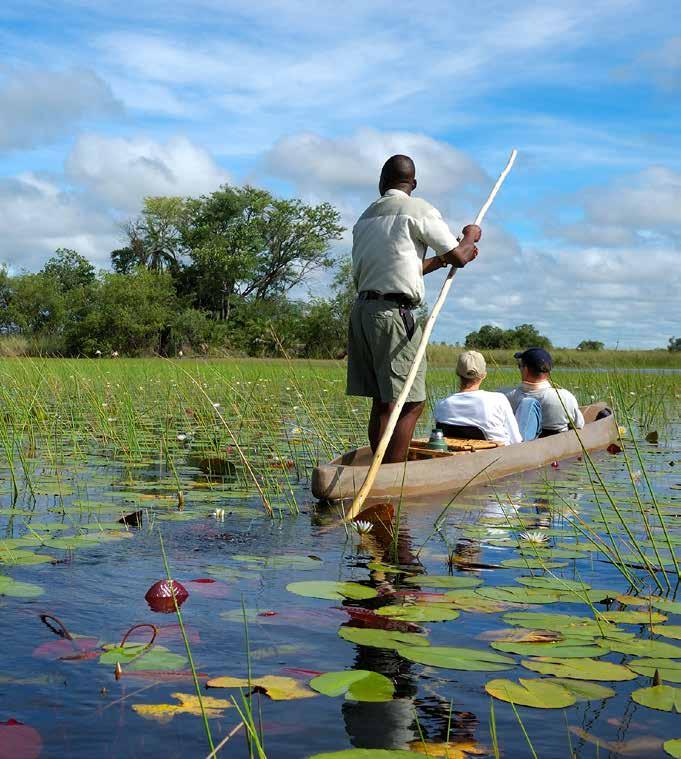 Botswana és a Viktória-vízesés Az Okavango-delta hatalmas mocsárvidéke 2014-ben ezredikként került fel az UNESCO világ örökségi helyszíneinek listájára.