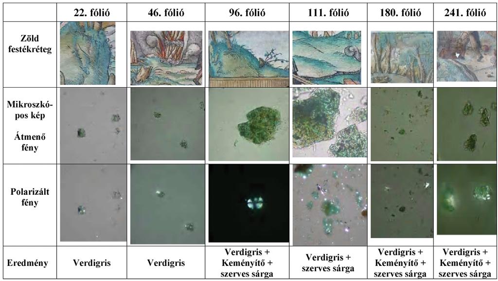 11. kép. A könyv 6 lapjára felvitt zöld festékrétegekből készített mikroszkópi preparátumok összehasonlítása. keményítő szemcsék is megfigyelhetők a mikroszkópi preparátumokban.