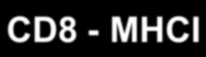 CD4 és CD8: extracelluláris domén: kötődés az MHC konstans domén intracelluláris domén: jelátvitel, kinázok aktiválása Differenciálódési markerek: A T sejt érés fázisai szerint CD4 és CD8