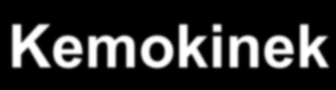 Kemokinek - 90 130 aa peptidek, - Receptorokon keresztül hatnak - Limfoid és nem limfoid szövetek