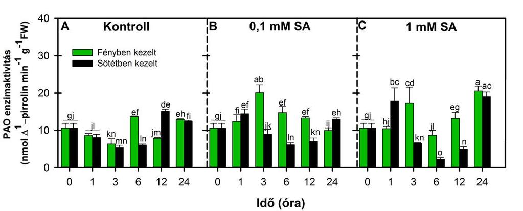 11. ábra: A PA-ok katabolizmusában szerepet játszó DAO izoenzimeket kódoló gének [SlDAO1 (A,B,C); SlDAO2 (D,E,F)] expressziójának változása VT paradicsom növények leveleiben kontroll körülmények
