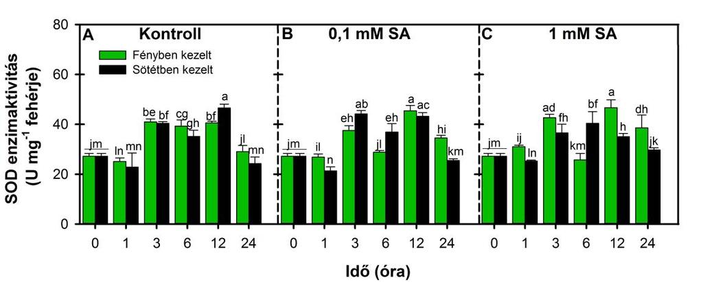 A szuperoxid-dizmutáz aktivitása és a különböző izoenzimeket kódoló gének expressziója A. O2 - és a H2O2 hatékony eliminálásához az antioxidáns enzimek összehangolt működése szükséges.