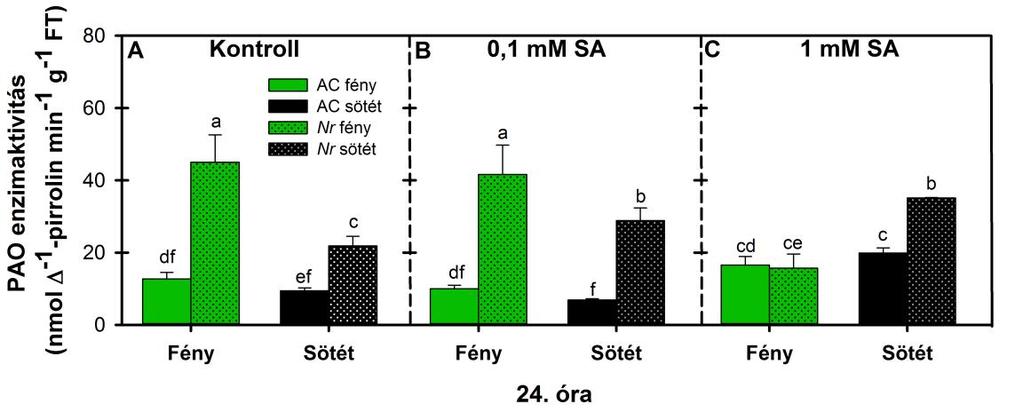 35. ábra: A PAO aktivitásának változása (nmol Δ 1 -pirrolin min -1 g -1 FT) vad típusú (AC) és Nr paradicsom növények levelében kontroll körülmények között (A), valamint 24 óráig tartó 0,1 mm (B) és