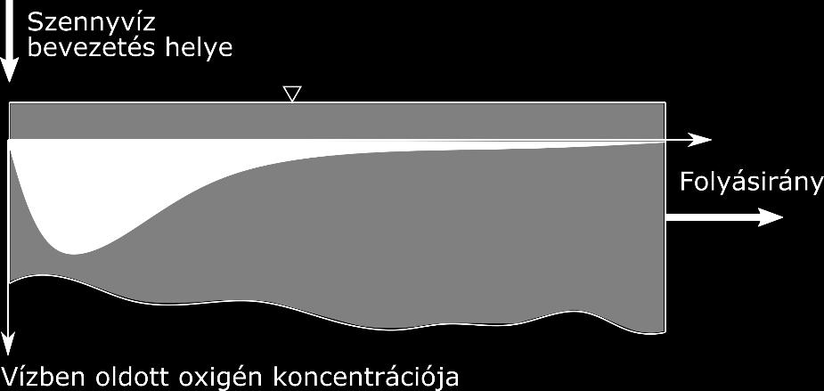 MAXIMUM KERESÉS 1 Az eddig használt módszerek közül az intervallum és aranymetszés módszerével minimumhelyet tudunk csak megkeresni, a Newton módszerrel vízszintes érintőjű helyeket keresünk, tehát