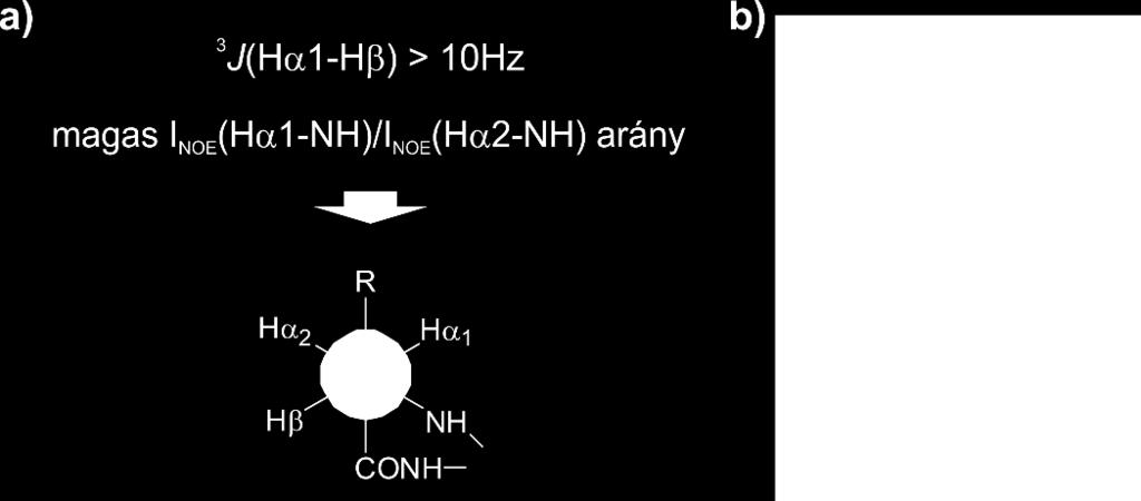 Azok a 3 -aminosavak, melyek oldalláncukban elágazást tartalmaztak a kívánt gauche konformációt vették fel, mely illeszkedik a -redő hidrogénkötés mintázatába.