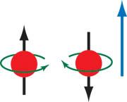 .) értékeket vehet fel Fermionok: fél egész spinű részecskék (pl. az elektron, a proton, a neutron 1/2 spinű) Bozonok: egész spinű részecskék (pl.
