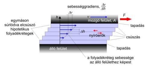 Fluiditás, azaz folyósság (1/h) F = F s F=?