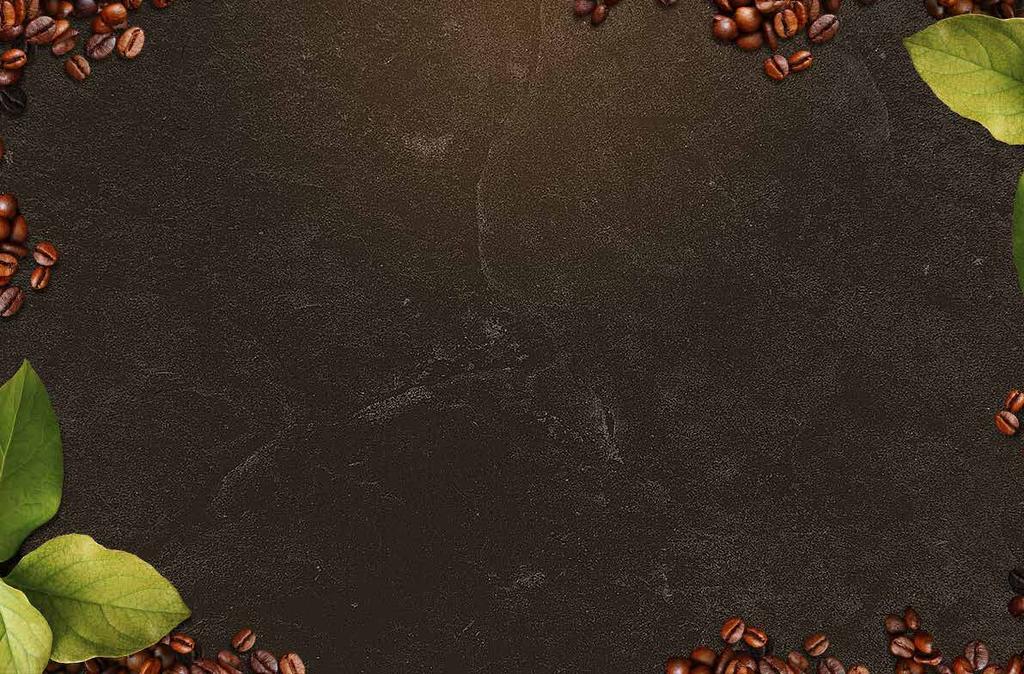 Kávé I Tejital I Hal MIZO COFFEE SELECTION 330