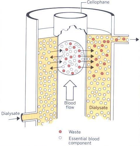Dialízis celofán,