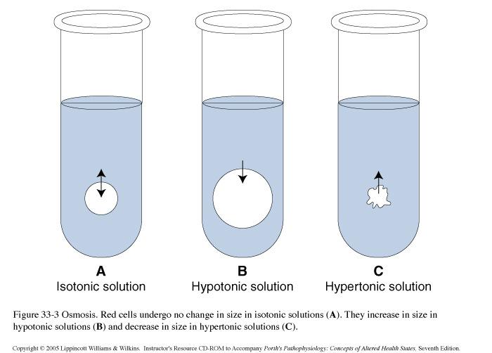 Volumenregulatio gyorsabban