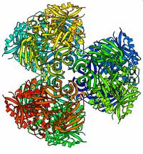 2.2 A szerkezet elemzése A fehérje szerkezete a PyMOL [29] programmal praktikusan megjeleníthető.