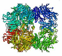 Továbbá a fehérje szimmetriamásolatait is generálja, ezáltal az egész komplex szerkezetet is megjeleníthetjük vele.