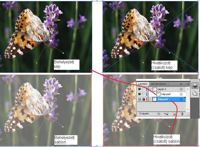 BITKÉPEK KEZELÉSE 13 gatnunk az Illustrator grafikával, ha azt hiánytalanul akarjuk megjeleníteni. Az így beillesztett Photoshop képekhez nem jelenik meg az 1-2.