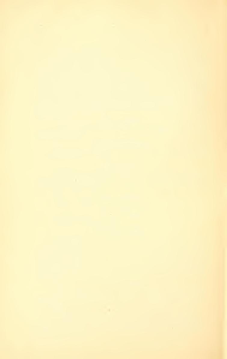 82 Mailász József. Fam Staphylinidae. Aleochara erythroptera Gravh., Amischa talpa Heer, A. validiuscula Kr., Tachinus rufipes Dej., T. laticollis Grav., Tachyporus solutuser., T. chrysomelinus L.