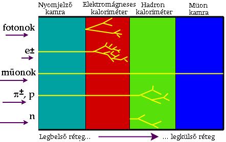 Részecskék azonosítása Réteges struktúra (hagyma/torta) +