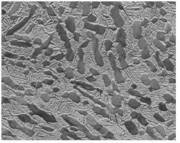 áll [3]. A kettősfázisú acélok mikroszerkezetét a martenzit és ferrit aránya határozza meg.