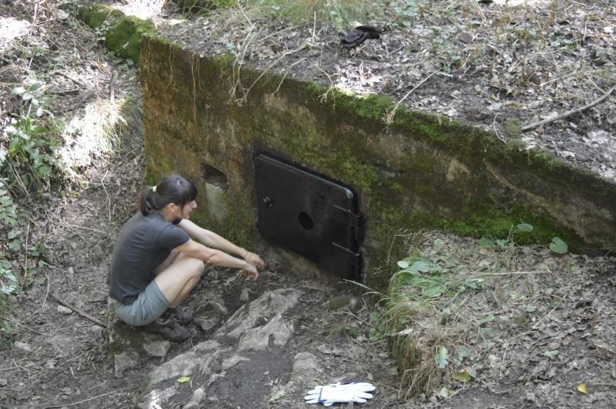 ELŐZMÉNYEK: A Tatabánya feletti Kő-hegy kis kiterjedésű, felső triász kőzet felszínen kialakult fennsíkján elhelyezkedő Lengyel-barlang térségének dokumentált kutatása, Lendvay B.