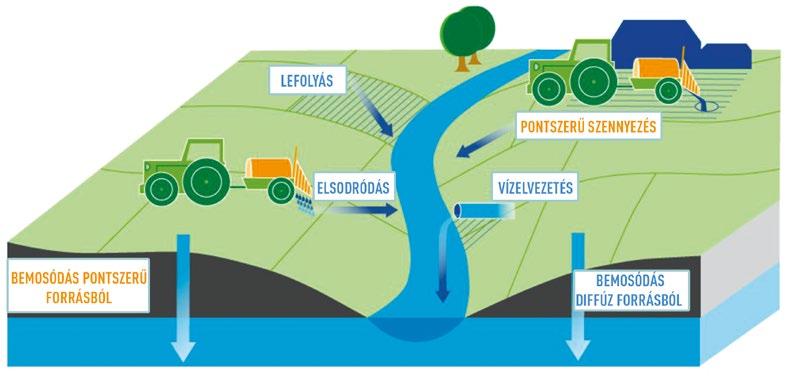 I. Alapismeretek 1. A mezőgazdálkodási tevékenységből adódó terhelések forrásai A vizeket alapvetően kétféle forrásból származó terhelés éri a mezőgazdaság kapcsán (1. ábra).