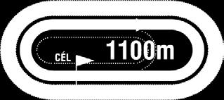 : 20, 1-7, 525000 Ft 2016: 2, 0-1, 80000 Ft 2015: 6, 0-1, 40000 Ft Tenyésztő: Bábolna Nemzeti Ménesbirtok Kft., Dióspuszta 102 2016.06.17 2/8 39 1200 Kincsem Park (j) V. o. Vörös Georgina 55.0 1:16.