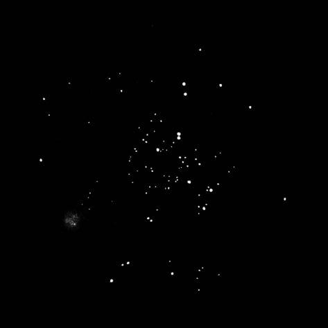 Kalendárium december 211 Ny Ny É Cseh Viktor látványos és pontos rajza az NGC 2362-rõl (Canis Maior csillagkép). 130/650 T, 103, 30 ívperces látómezõ.