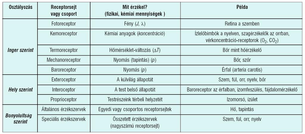 Receptorok csoportosítása! Receptorok működése I.