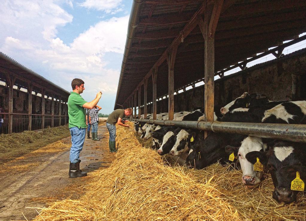 SZARVASMARHA HÍREK IZGALMAS ÉV VOLT SZÁMUNKRA 2017 A tavalyi évben számos fontos esemény történt az Agrofeed Kft.