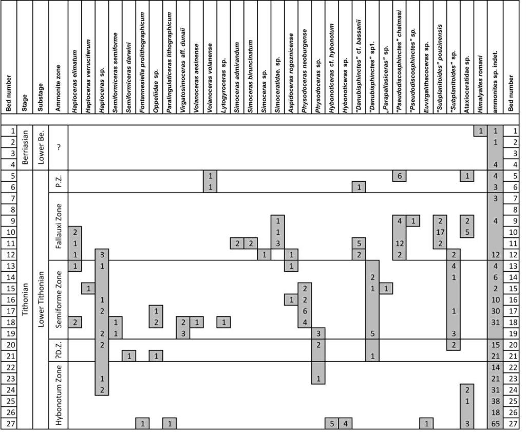 Alul: a rétegtani szempontból fontos ammoniteszek elterjedése a