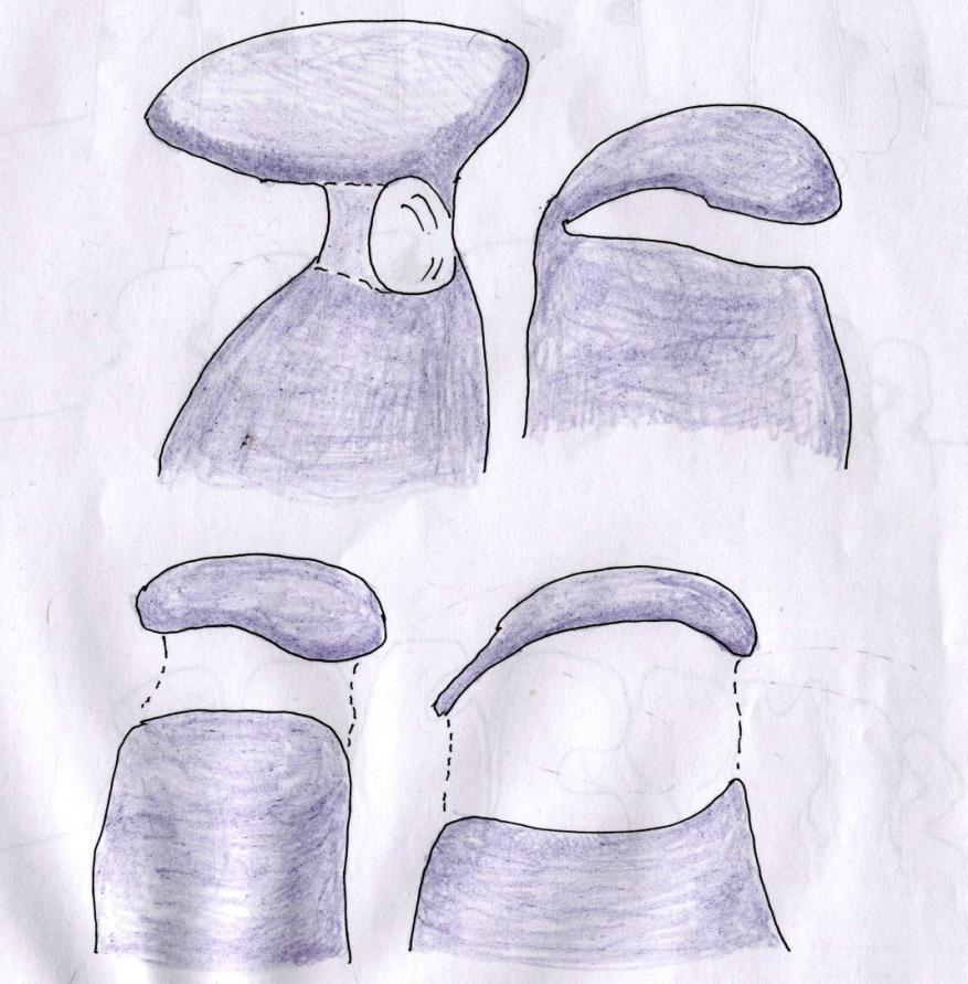 2. ábra. Árnyékmállással-oldással kialakult lyuk, sziklahíd magmás- vagy homok- és kavicskövek egyedül maradt négyszöges hasábjában. Fig. 2.