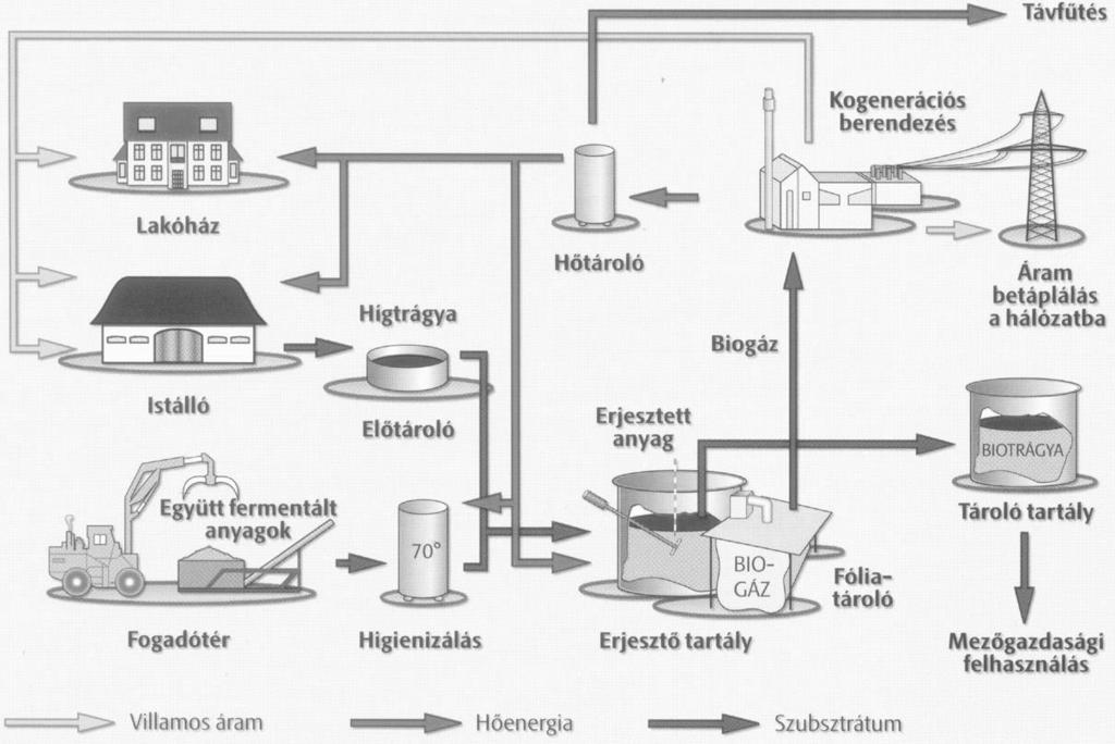 7. ábra. A biogáz előállításának és felhasználásának lehetőségei Forrás: internet g A biogáz előállításának és hasznosításának egy példája.
