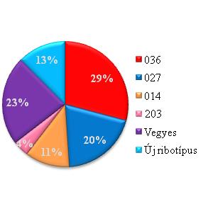 Budapesten gyűjtött törzsek Vegyes ribotípusok: 003, 012, 018, 020, 070, 078, 087, 126, 449, 484, 653, AI (1 izolátum) Szegeden gyűjtött törzsek Vegyes