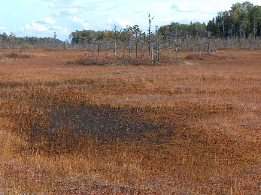 A Khanty Mansysk környéki lápok többsége oligotróf tőzegmohaláp, az éves átlagos csapadék mennyiség a területen 494 mm, az éves átlaghőmérséklet -2.