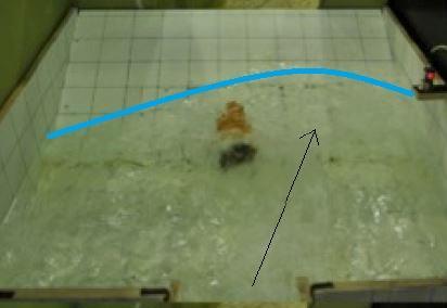 Felvízi medence geometriájának hatása Felvízi medence hosszának vizsgálata o 1:5 energiatörés nélkül vízsugár uralta áramlás o Legmagasabb kapacitásértékek o