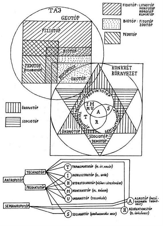 Marosi (1981) ábrája (16. ábra) az emberi tevékenységhez kapcsolódó topológiai alapegységeket részletezi, továbbá megkísérli a konkrét környezet elhelyezését is a topológiai rendszerben.