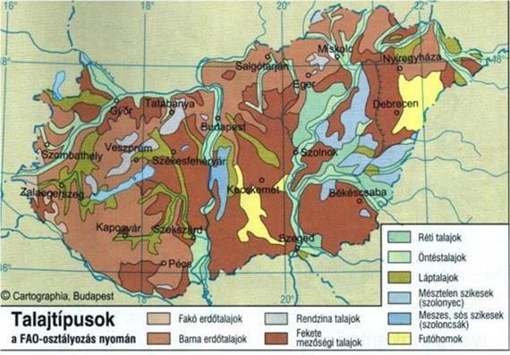 43. ábra Magyarország talajtípusai (Forrás: mkweb.uni-pannon.hu) A talaj világos differenciáló szerepét korán felismerték (l. pl. Haase, 1973).