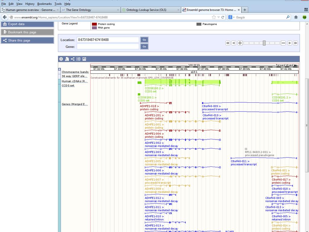 Bioinformatika és