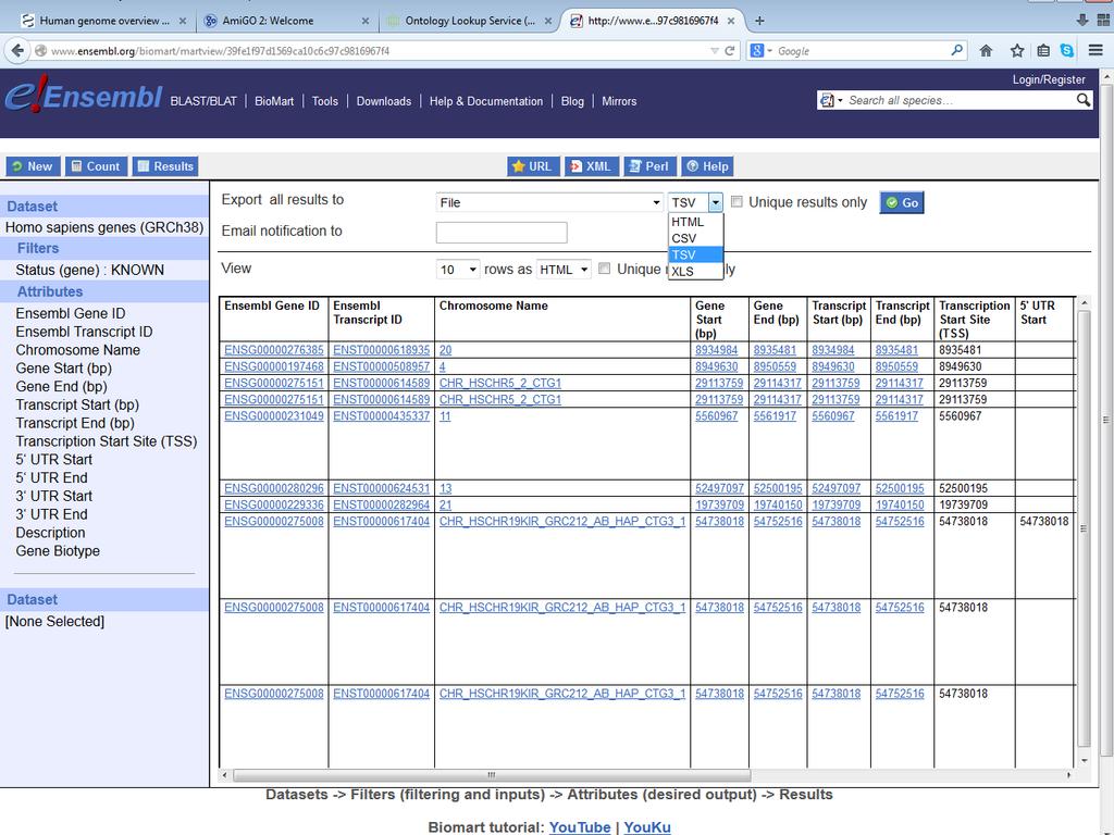 Bioinformatika és