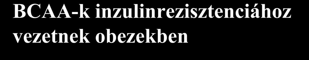 BCAA-k inzulinrezisztenciához vezetnek