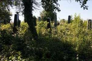 Értékvizsgálat 23 Somogyi szakasza volt zsidó Béla utca temető külterületi 0479/4 Volt zsidó temető megmaradt sírjelei.
