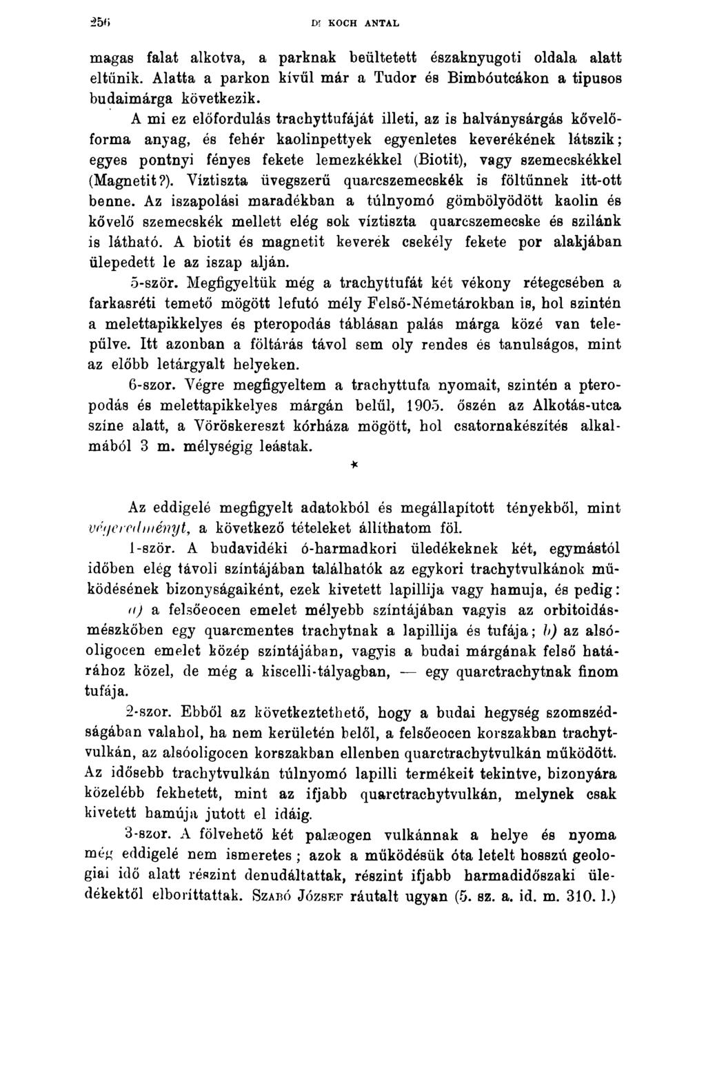 Di KOCH ANTAL magas falat alkotva, a parknak beültetett északnyugotí oldala alatt eltűnik. Alatta a parkon kivűl már a Tudor és Bimbóutcákon a típusos budaimárga következik.