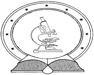 DE TTK 1949 Dinamikai instabilitások elektrokémiai rendszerekben Doktori (PhD) értekezés Nagy Timea Témavezető: Dr.