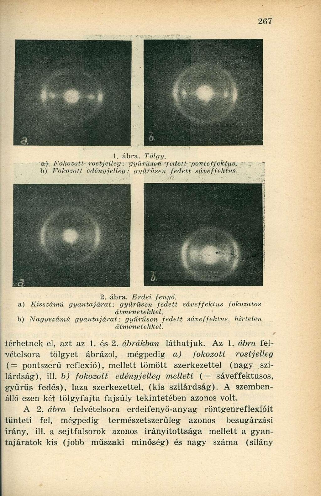 1. ábra. Tölgy. - Fokozott- rostjelleg: gyűrűsen " fedett ponteffektus. % b) Fokozott edényjelleg: gyűrűsen fedett sáveffektus. 2. ábra. Erdei fenyő.