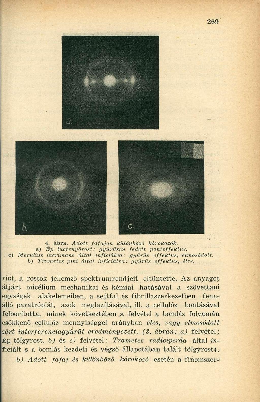 4. ábra. Adott fafajon különböző kórokozók. a) Ép lucfenyőrost: gyűrűsen fedett ponteffektus. c) Merulius lacrimans által inficiálva: gyűrűs effektus, elmosódott.