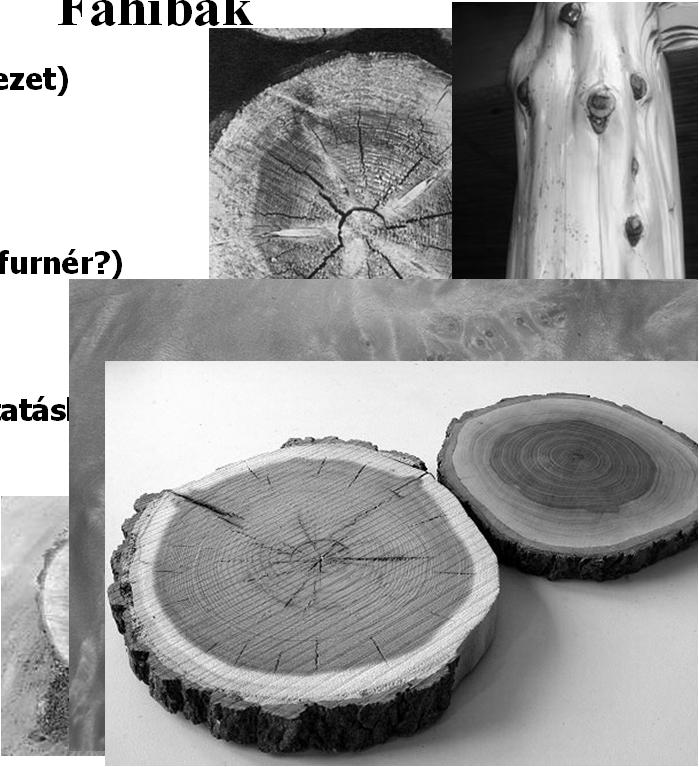 -évgyűrűtorzulás - hullámos rostúság (furnér?