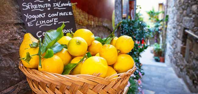 A barokkon kívül gótikus, rokokó és neoklasszicista épületek is CEFALÚ SAN MAURO CASTELVERDE RAGUSA ETNA CATANIA TAORMINA SIRACUSA felfedezhetők.