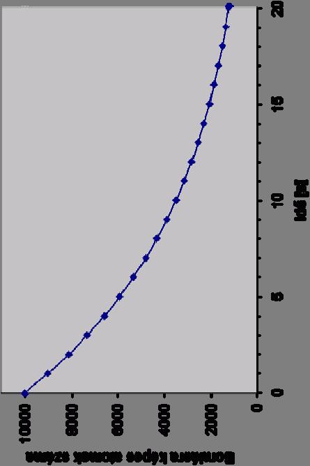 Példa Példa: N 0 =10000 λ=0,1 1 / S 1 sec 9000 sec 8100 3