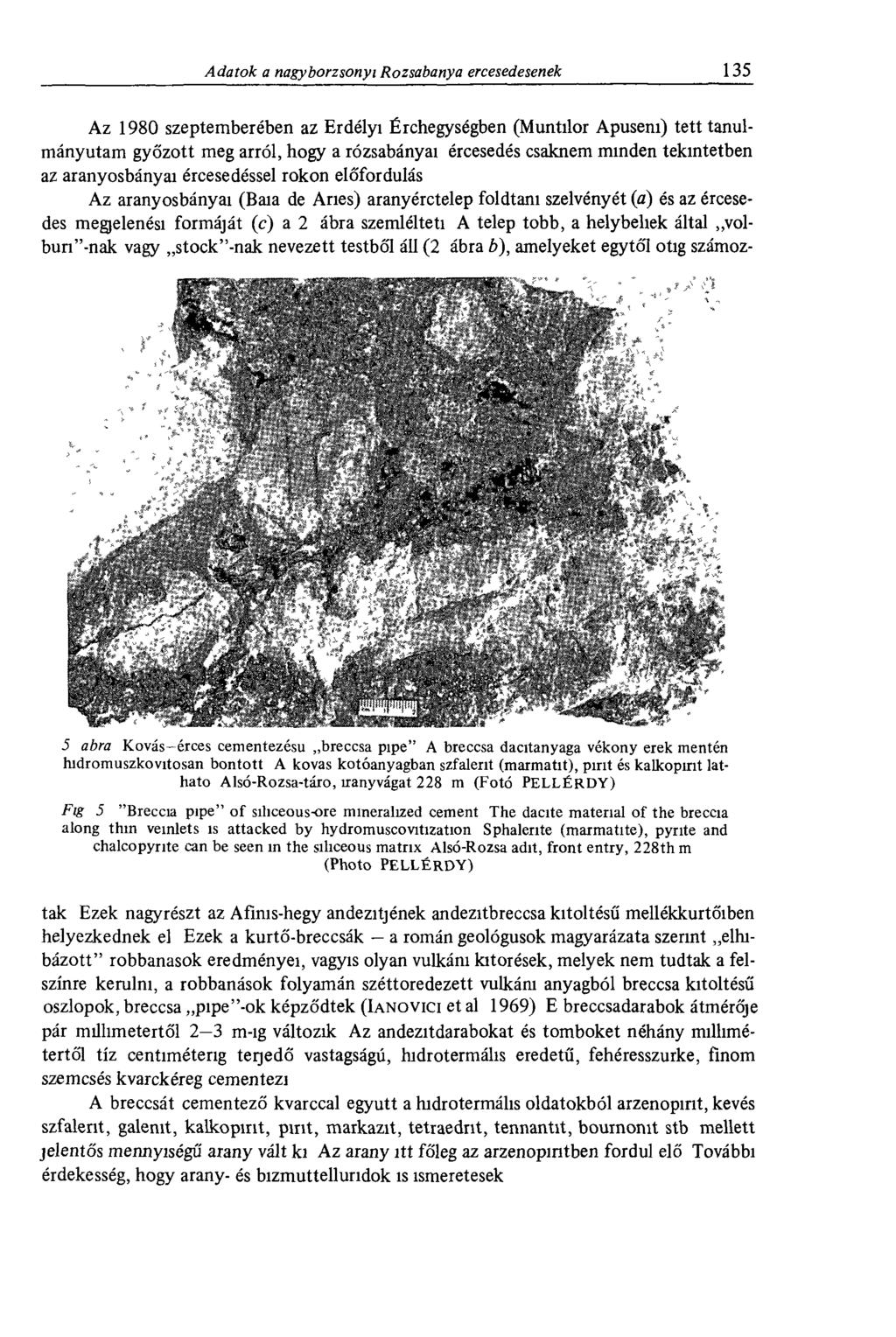 Az 1980 szeptemberében az Erdélyi Érchegységben (Muntilor Apuseni) tetttanulmányutam győzött meg arról, hogy a rózsabányai ércesedés csaknem minden tekintetben az aranyosbányai ércesedéssel rokon